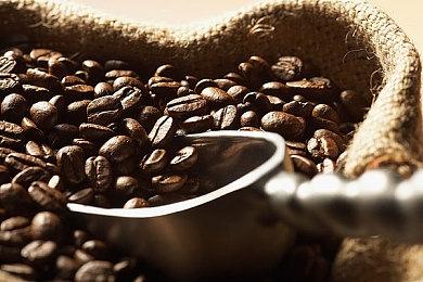 Fami通新一周销量榜 《圣兽之王》登顶