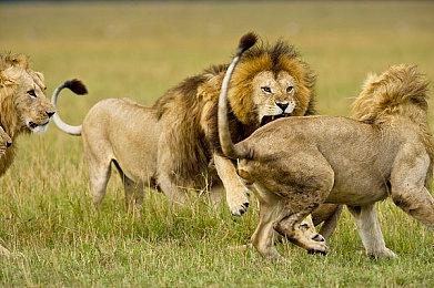 《地下城与勇士：决斗》发布新预告 游戏6月28日发售